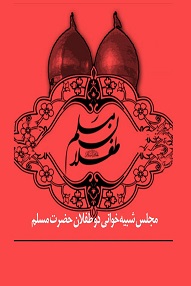 تلویزیون تئاتر ایران | 
    مجلس شبیه‌خوانی دو طفلان حضرت مسلم